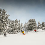 Wandbild Buddy Shredd Snowboard Ski Freeride