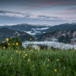 Resi Alm, Radstadt, Sonnenunternagng, Blumenwiese im Vordergrund
